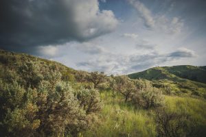 The Wenatchee foothills