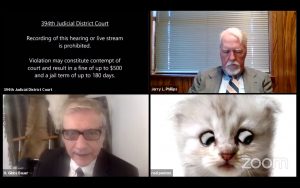 I'm not a cat lawyer